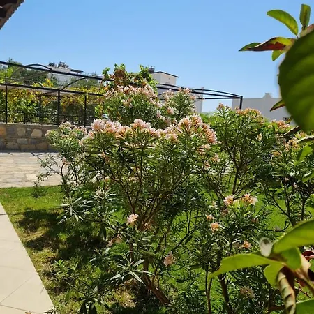 Summer In Bodrum With 2 Car Parking 4 Bedroom 3 Bathroom 2 Garden فيلا مصيف مكونة من 4 غرفة و 3 حمام و حديقتين في بودروم تركيا * Milas